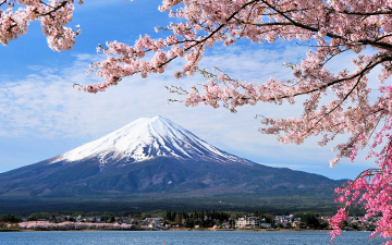 Japans Kultur entdecken - kulturellen Einfühlungsvermögen entwickeln