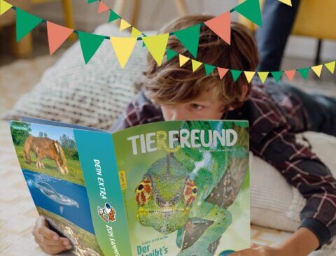 Tierfreund feiert Geburtstag