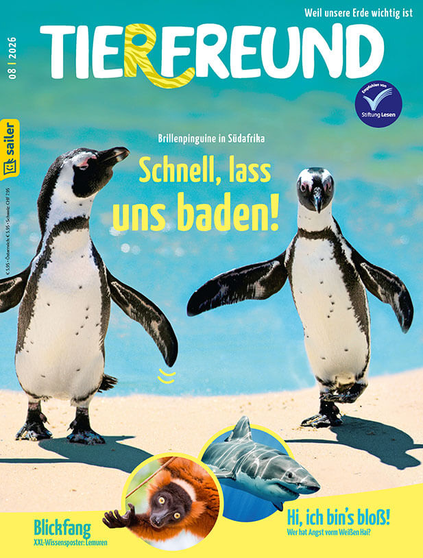 Tierfreund Einzelheft