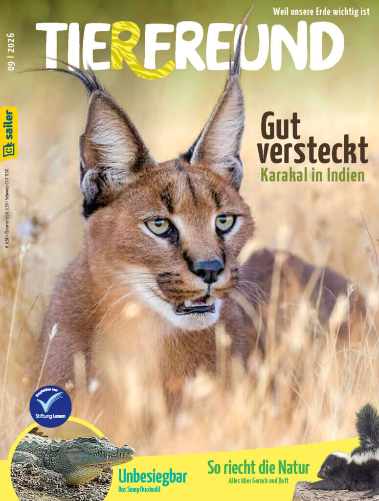 Tierfreund Einzelheft