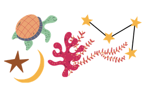 Illustration mit einer Schildkröte, einem Mond, Seesternen, einem Seestern und korallenartigen Formen in verschiedenen bunten Farben. Geeignet als Kinder- oder Jugendbild.
