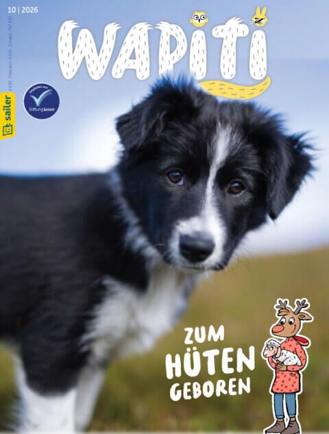 Cover der Zeitschrift 'Wapiti' vom Sailer Verlag. Ein schwarz-weißer Welpe schaut in die Kamera. Der Titel 'Wapiti' steht oben, mit einem kleinen Eulen- und Hasensymbol. Unten rechts steht der Text 'Zum Hüten geboren' neben einer Cartoon-Figur eines Rentiers mit einem Lamm im Arm.
