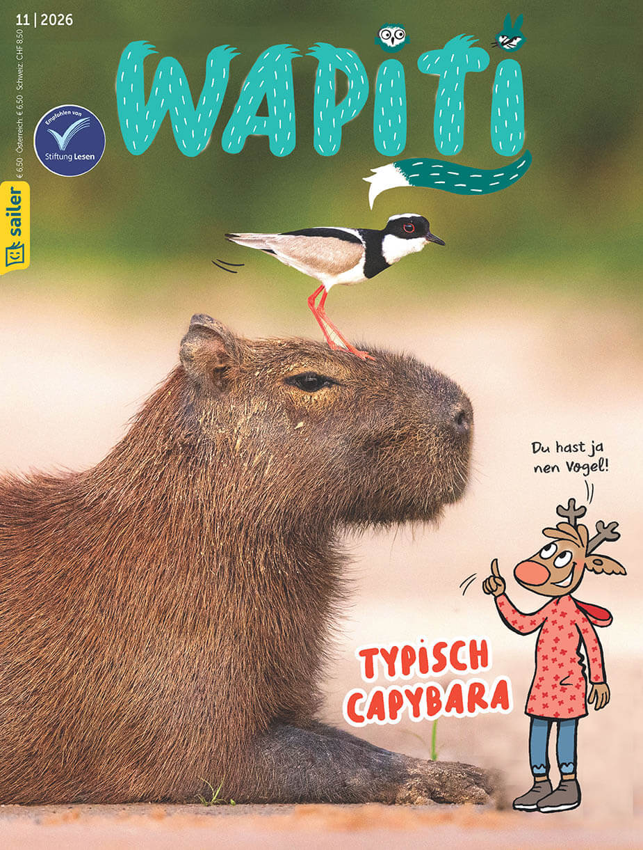 Titelseite des Magazins 'Wapiti' mit einem Capybara, auf dessen Kopf ein Vogel sitzt. Daneben steht eine Zeichnung einer Figur in rotem Mantel, die auf das Capybara zeigt und den Text 'Du hast ja nen Vogel!' enthält. Darüber der Schriftzug 'Typisch Capybara'.